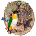 Super Bird Creations Busy Birdie Play Perch Bird Toy, Medium