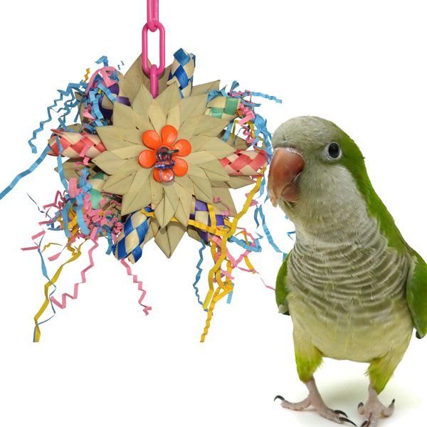 Super Bird Creations Pinwheel Bird Toy, Medium slide 1 of 2