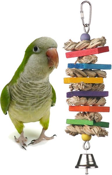 Super Bird Creations Seagrass Wafers Bird Toy, Medium slide 1 of 3