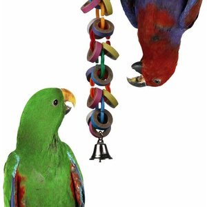 Super Bird Creations Hoopla Bird Toy, Large