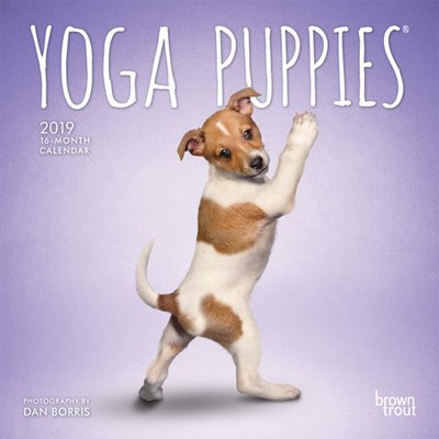 Yoga Puppies 2019 Mini Wall Calendar, slide 1 of 1