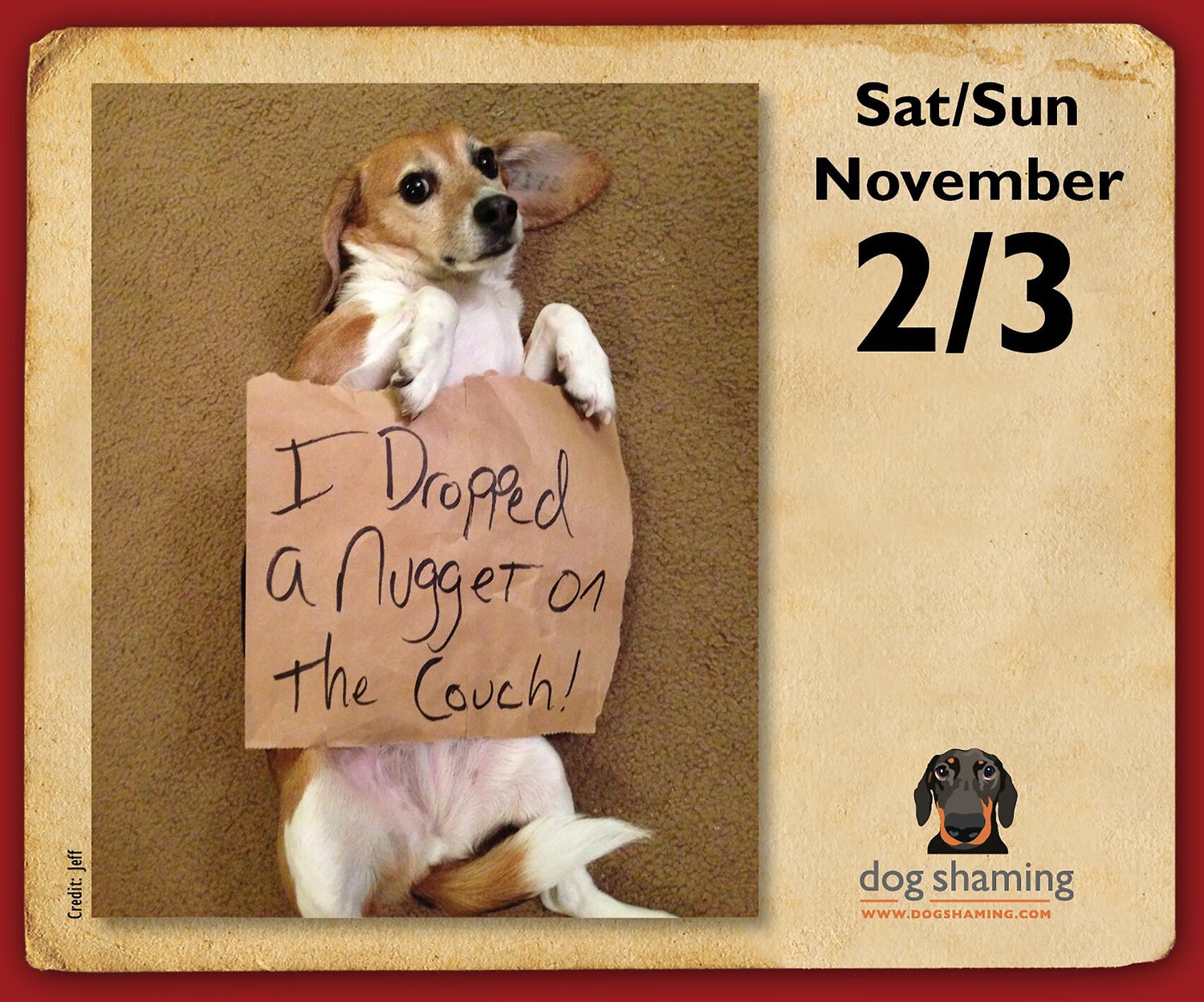 dog-shaming-2019-day-to-day-calendar-chewy
