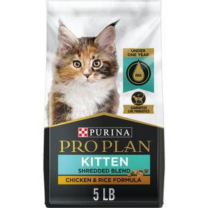 Purina Pro Plan Kitten Shredded Blend Chicken & Rice Formula Dry Cat Food, 5-lb bag