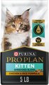 Purina Pro Plan Kitten Shredded Blend Chicken & Rice Formula Dry Cat Food, 5-lb bag
