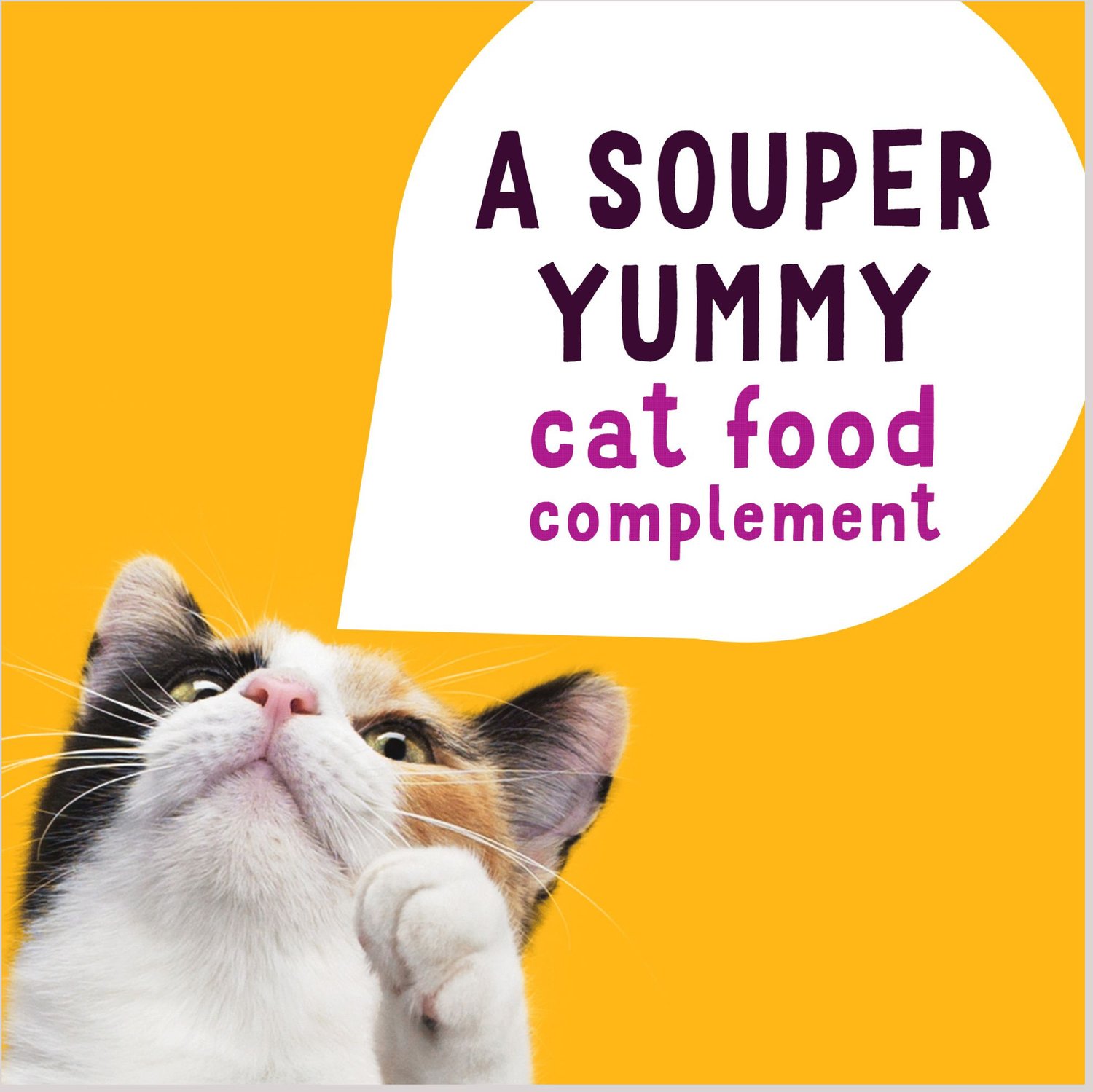 Friskies Lil' Soups with Shrimp in a Velvety Chicken Broth Lickable Cat