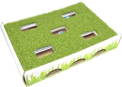 Petstages Grass Patch Hunting Box Cat Scratcher Toy, slide 1 of 1