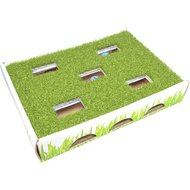 Petstages Grass Patch Hunting Box Cat Scratcher Toy