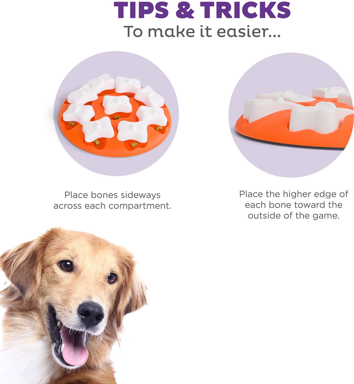 20 Best Dog Puzzles of 2023
