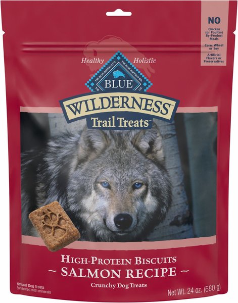 Blue Buffalo Wilderness Trail Treats Grain-Free Salmon Biscuits Dog Treats, 24-oz bag slide 1 of 6