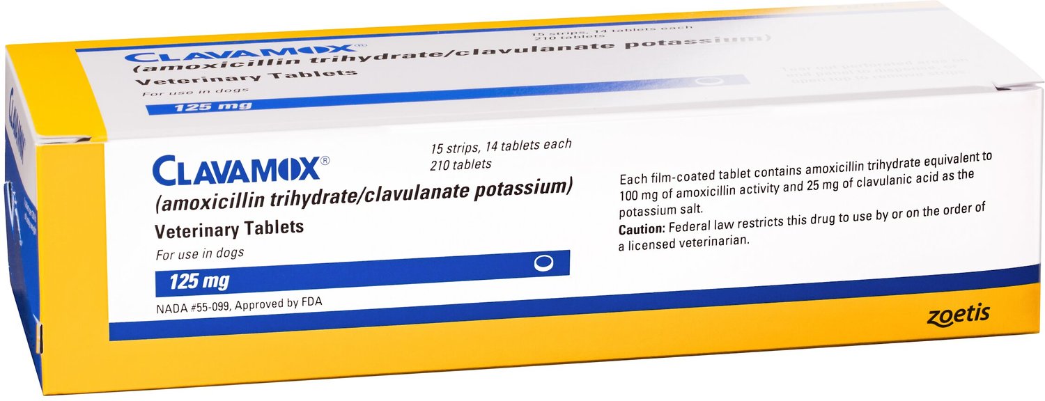 Clavamox Amoxicillin Clavulanate Potassium Chewable Tablets For Dogs Cats 125 Mg 1 Tablet Chewy Com