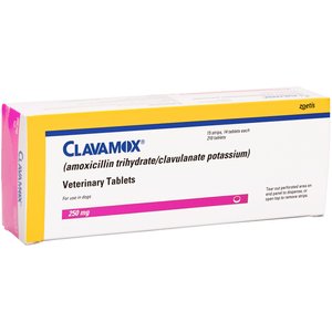 Clavamox (Amoxicillin / Clavulanate Potassium) Chewable Tablets for Dogs & Cats, 250-mg, 1 tablet
