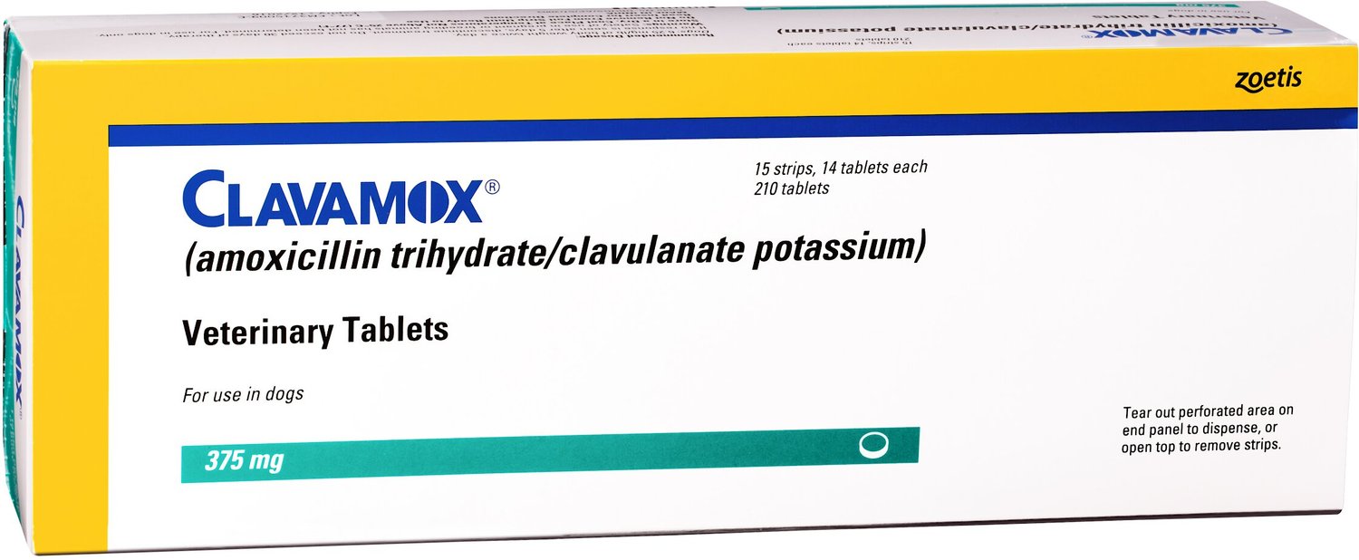 CLAVAMOX (Amoxicillin / Clavulanate Potassium) Chewable Tablets for