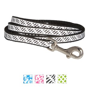 Frisco Patterned Nylon Reflective Dog Leash, Wavy Lines, X-Small: 6-ft long, 3/8-in wide