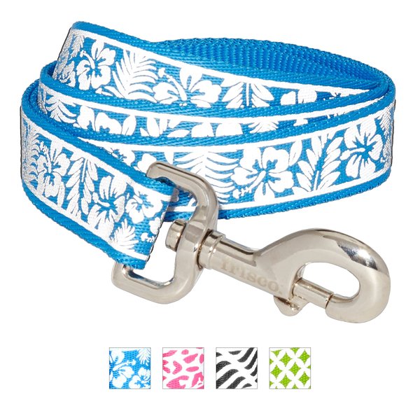 Frisco Patterned Nylon Reflective Dog Leash, Hawaiian Floral, Large: 6-ft long, 1-in wide slide 1 of 7