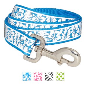 Frisco Patterned Nylon Reflective Dog Leash, Hawaiian Floral, Large: 6-ft long, 1-in wide
