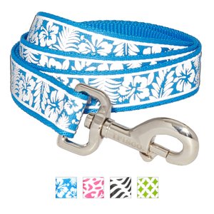 Frisco Patterned Nylon Reflective Dog Leash, Hawaiian Floral, Medium: 4-ft long, 1-in wide