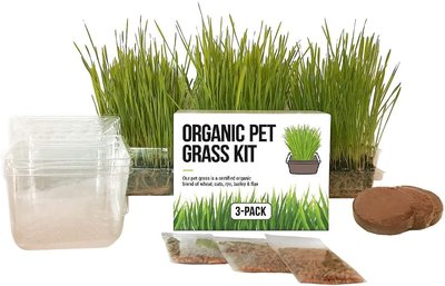 The Cat Ladies Organic Pet Grass Growing Kit With Containers, slide 1 of 1