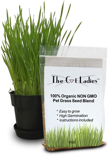 The Cat Ladies Organic Pet Grass Seed, 8-oz bag slide 1 of 8