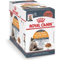 Royal Canin Intense Beauty Chunks in Gravy Adult Cat Food Pouches, 3-oz, case of 12