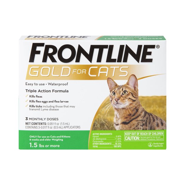 frontline plus spot on cat