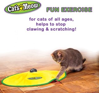 cat's meow toy walmart