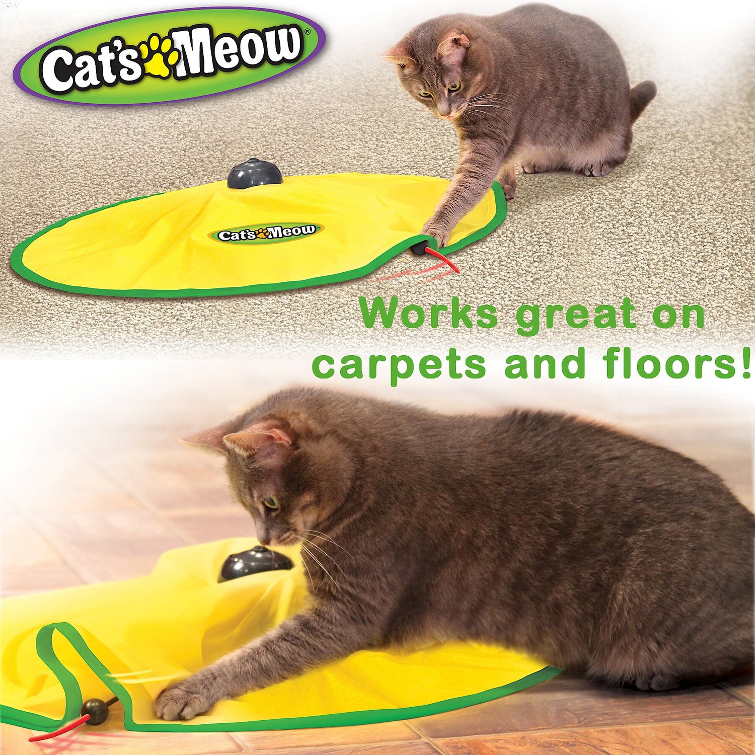 CAT'S MEOW Motorized Chaser Cat Toy - Chewy.com