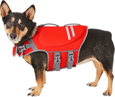 extra small dog life jacket