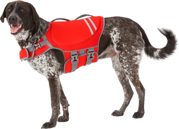 Frisco Neoprene Dog Life Jacket, X-Large slide 1 of 11