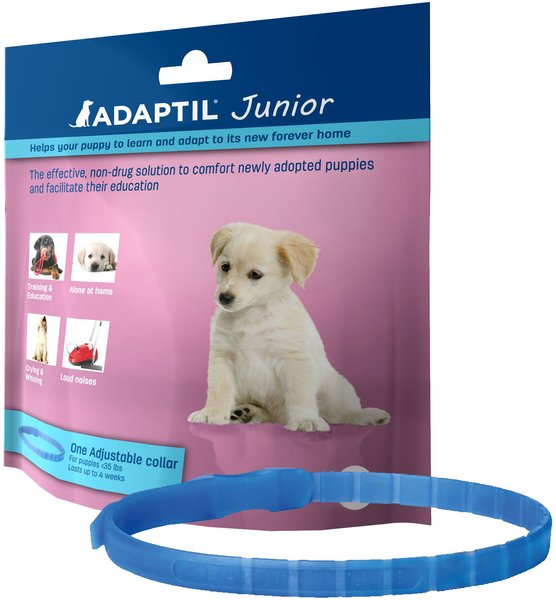 Adaptil On-the-Go Calming Collar for Dogs, Jr. (Puppy), 1 count slide 1 of 2