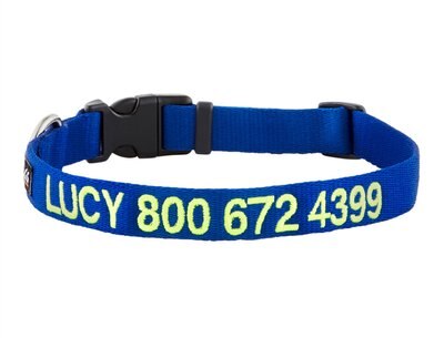 GoTags Nylon Personalized Dog Collar, slide 1 of 1