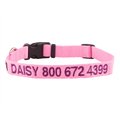 GoTags Nylon Personalized Dog Collar, Pink, Medium: 14 to 20-in neck, 3/4-in wide