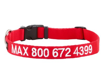 GoTags Nylon Personalized Dog Collar, slide 1 of 1