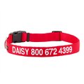 GoTags Nylon Personalized Dog Collar, Red, Large: 18 to 26-in neck, 1-in wide