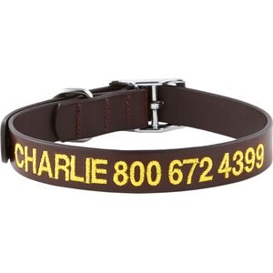 GoTags Personalized Leather Dog Collar