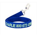 GoTags Nylon Personalized Dog Leash, Blue, Large: 6-ft long, 1-in wide