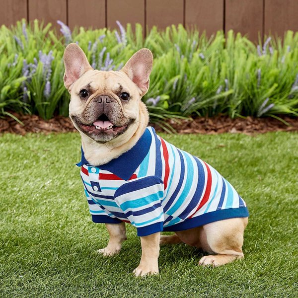 Frisco Striped Dog & Cat Polo Shirt, Red & Blue, Medium slide 1 of 11