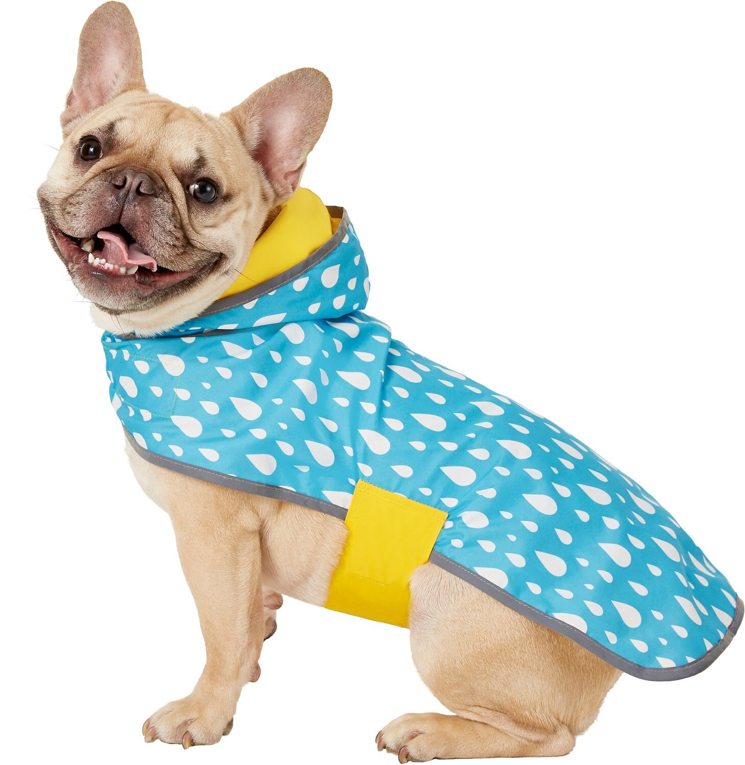 Frisco Reversible Packable Travel Dog Raincoat, Medium - Chewy.com