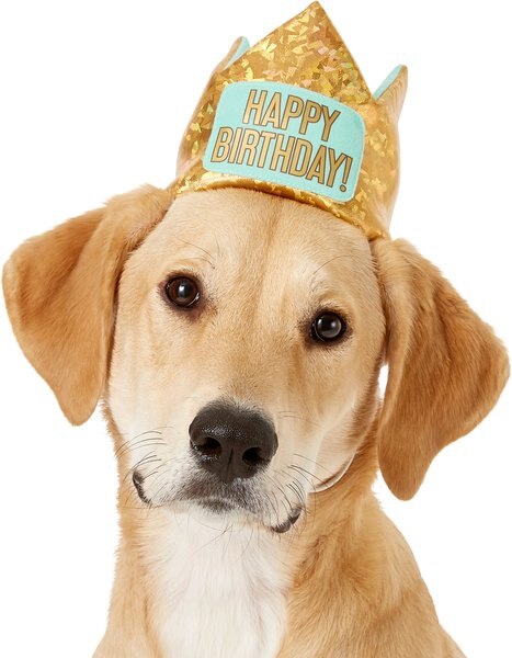 Frisco Happy Birthday Dog & Cat Crown, Medium/Large slide 1 of 7