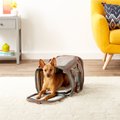 Mr. Peanut's Gold Series Expandable Airline-Approved Dog & Cat Carrier, Platinum Gray