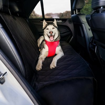 Barksbar Luxury Waterproof Car Seat Cover Black Extra Large Chewy Com - Extra Large Dog Car Seat Covers