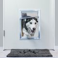 BarksBar Plastic Dog Door, Large