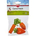 Kaytee Carrot Patch Variety Small Animal Chew Toy