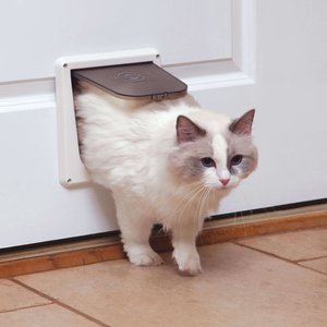 PetSafe 4-Way Locking Pet Door, Up to 15-lbs