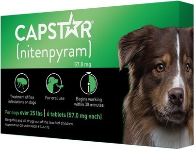 Capstar Flea Oral Treatment for Dogs, over 25 lbs, slide 1 of 1