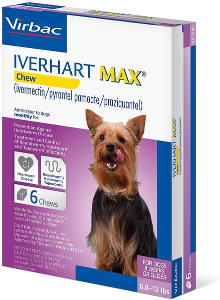Iverhart Max Chew for Dogs, 6-12 lbs, (Purple Box), 6 Chews (6-mos. supply) slide 1 of 4