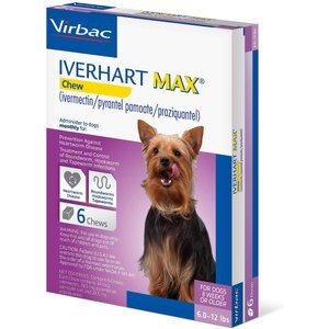 Iverhart Max Chew for Dogs, 6-12 lbs, (Purple Box), 6 Chews (6-mos. supply)