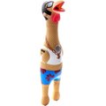 Charming Pet Squawkers Earl Squeaky Latex Dog Toy, Large