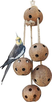 Pet Magasin Natural Coconut Bird Toys, slide 1 of 1