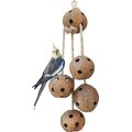 Pet Magasin Natural Coconut Bird Toys