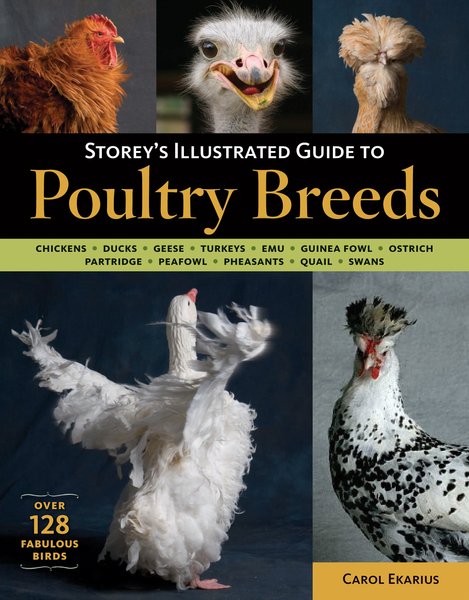 Storey's Illustrated Guide to Poultry Breeds slide 1 of 6